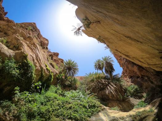 Wadi Ghwair Canyon